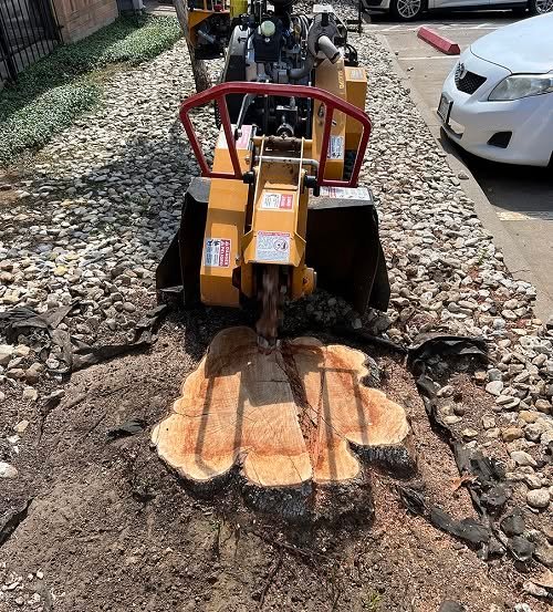 Stump grinding